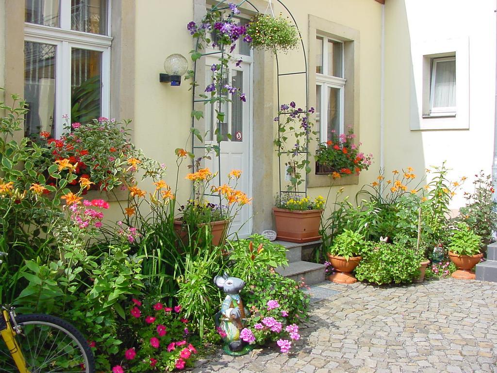 Pension Pieschen Dresden Dış mekan fotoğraf